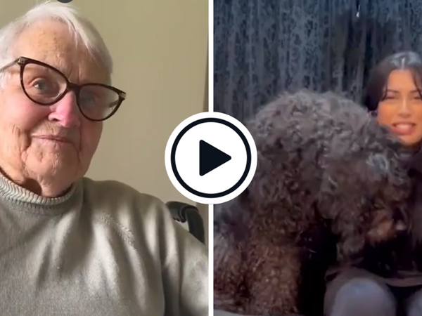 watch-new-zealand-cricket-family-announces-world-cup-squad-heartwarming-video.Click to read full article.