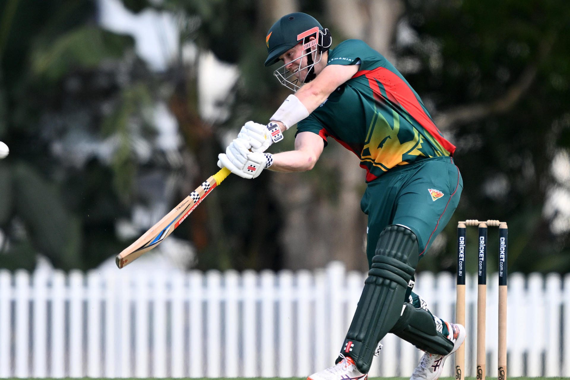 53 out of 58: Australia opener blasts 20-ball One-Day Cup half-century to give domestic team blistering start