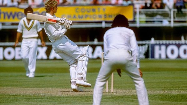 my-favourite-photo-gower-starts-with-a-flourish.Click to read full article.