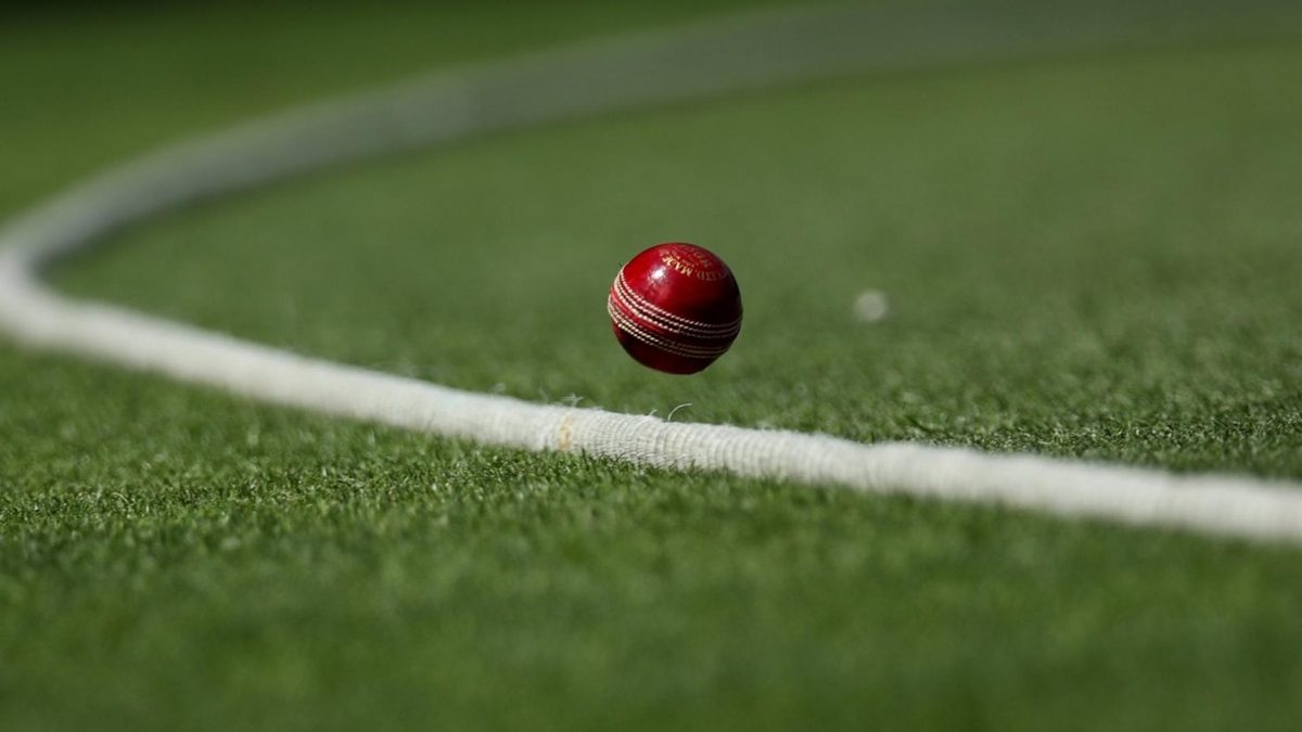 Cricket ball going over the rope