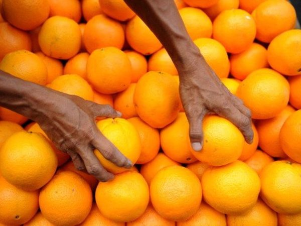 the-hundred-trials-orange-balls-free-hits-for-wides-rolling-subs.Click to read full article.