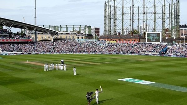 cricket-care-free-companion-compassionate-counsellor.Click to read full article.