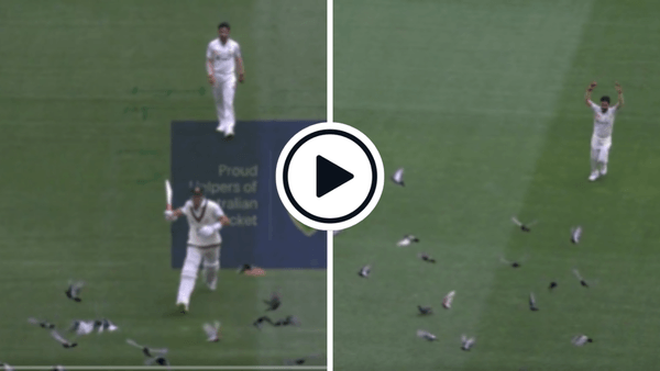 watch-marnus-labuschagne-and-hasan-ali-chase-away-pigeons-on-day-one-of-boxing-day-test.Click to read full article.