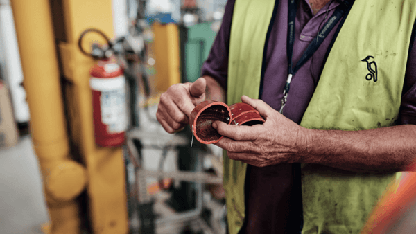 kookaburra-the-cherry-on-top.Click to read full article.