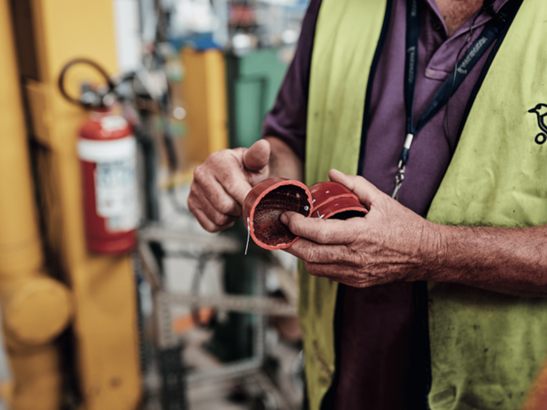 kookaburra-the-cherry-on-top.Click to read full article.