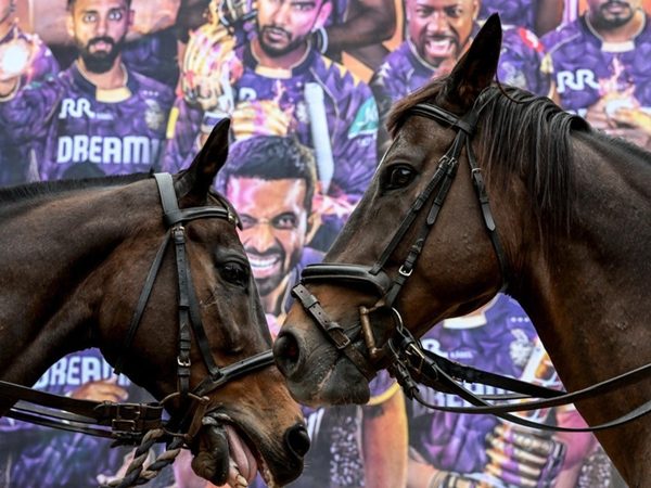 the-cricket-and-horses-quiz-which-team-has-won-the-most-consecutive-mens-t20-matches.Click to read full article.