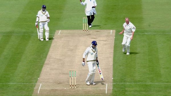 my-golden-summer-2002.Click to read full article.