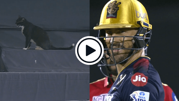 watch-faf-du-plessis-grins-as-cat-above-sightscreen-stops-play-in-ipl.Click to read full article.