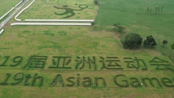 asian-games-2023-cricket-teams-full-list-of-teams-participating-in-the-asian-games.Click to read full article.