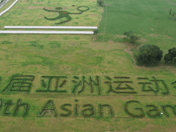 asian-games-2023-cricket-teams-full-list-of-teams-participating-in-the-asian-games.Click to read full article.