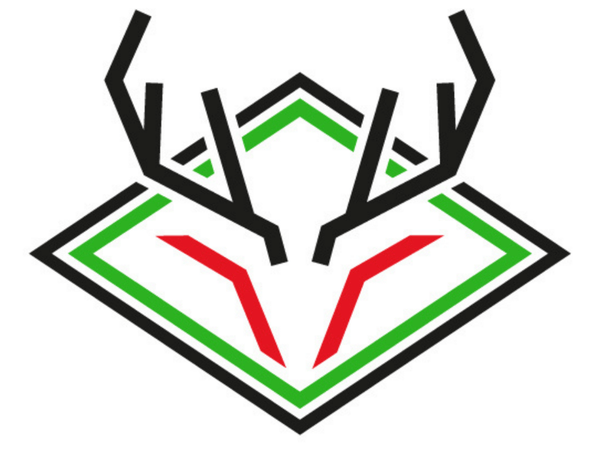 stag-cricket-everything-you-need-to-know.Click to read full article.