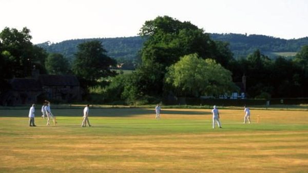 telephone-cricket.Click to read full article.