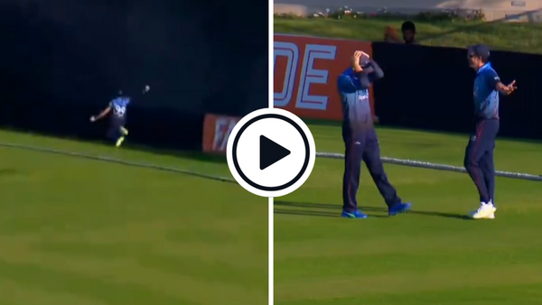 watch-david-wiese-38-plucks-one-handed-leaping-screamer-at-the-boundary.Click to read full article.
