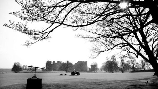 cricket-and-poetry-a-history.Click to read full article.