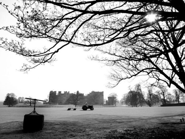 cricket-and-poetry-a-history.Click to read full article.