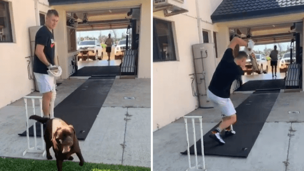 labuschagne-train-lockdown-friend-throwdown-dog.Click to read full article.