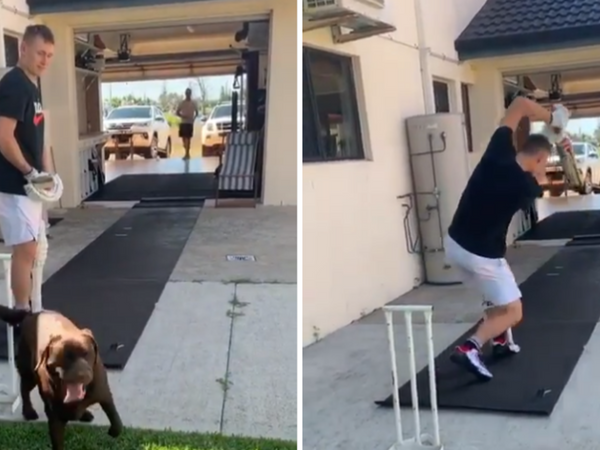 labuschagne-train-lockdown-friend-throwdown-dog.Click to read full article.