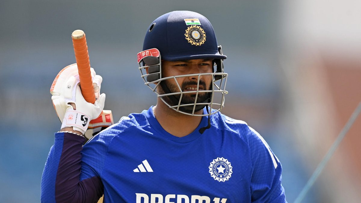 Pant bats in nets