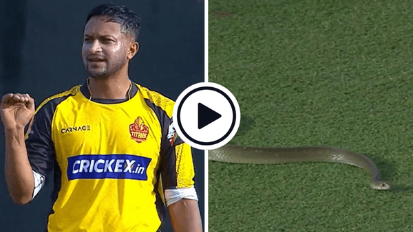 watch-snake-stops-play-match-official-bravely-shepherds-invading-reptile-field-lpl-2023.Click to read full article.