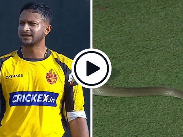 watch-snake-stops-play-match-official-bravely-shepherds-invading-reptile-field-lpl-2023.Click to read full article.