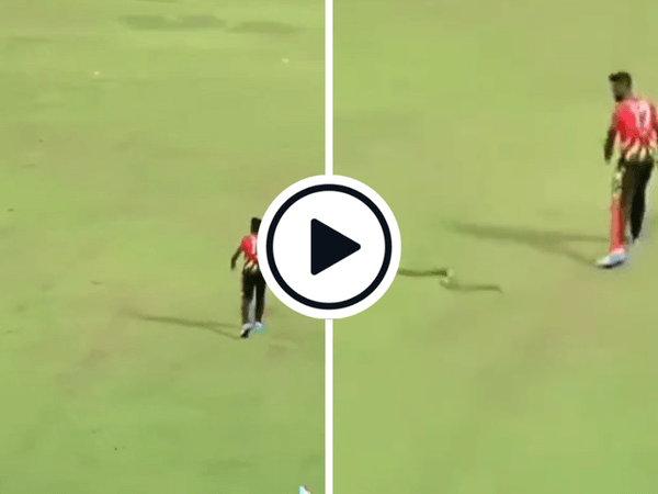 watch-snake-stops-play-lanka-premier-league-2023-sequel-lpl.Click to read full article.