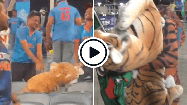 watch-local-fans-tear-apart-bangladesh-supporters-tiger-plush-toy-during-ind-ban-game.Click to read full article.