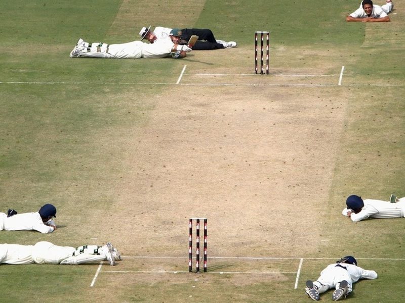 quiz-how-well-do-you-know-cricket-and-other-insects.Click to read full article.