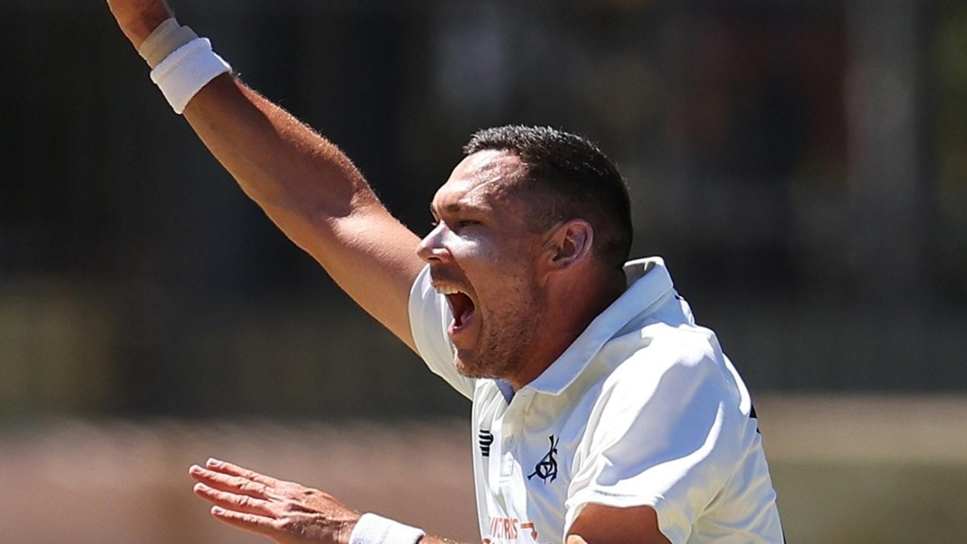 Australia Test Quick’s 6-22 Pastikan Final Sheffield Shield ke-16 Untuk Tim Domestik | Berita Kriket Hari Ini