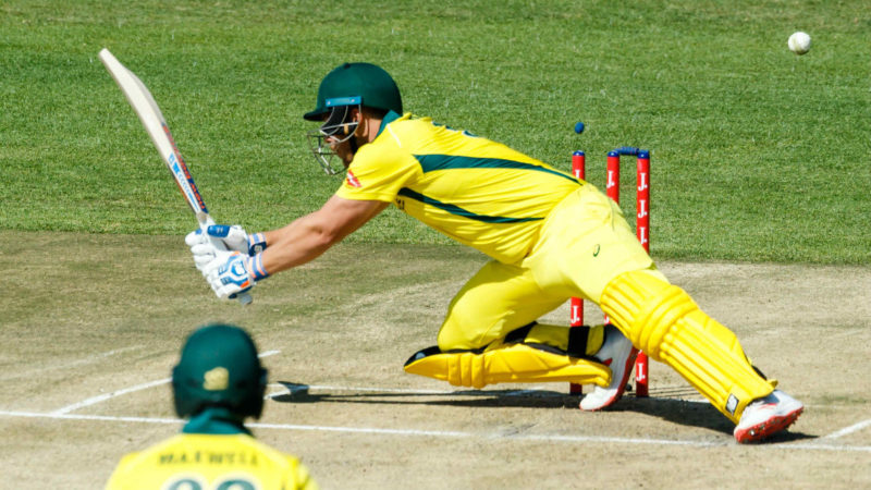 Finch was dismissed hit wicket just three runs off the highest score in all T20 cricket