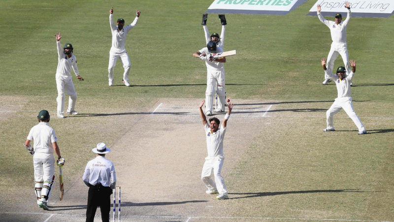 Yasir Shah picked up 12 wickets in two Tests when Australia went to the UAE in 2014